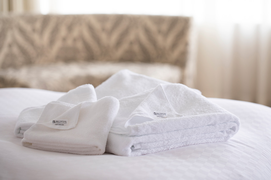 hotel nikkokansai airportFirst Class Twin