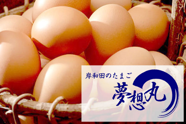 夢想丸