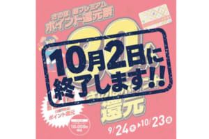 さのぽピント30％還元